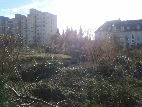 20150302_130948