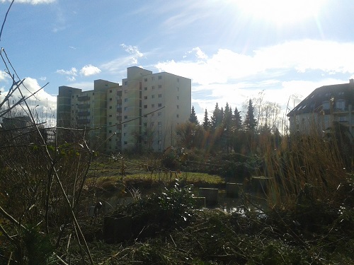 20150302_130959