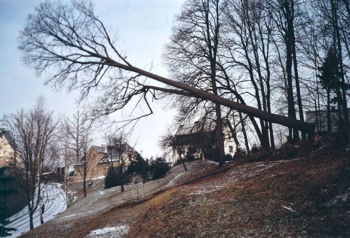 Platzhalter-Bild