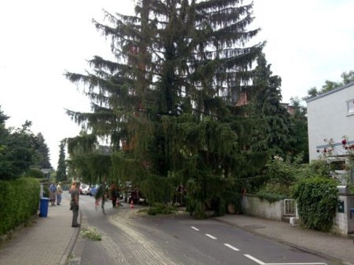 Bild014