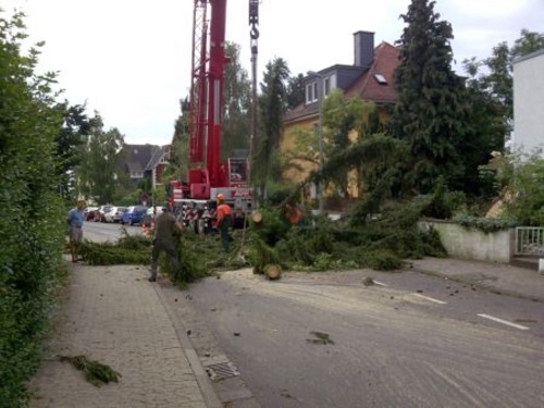 Bild017