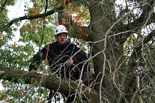 IMG_5247