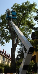 Pic00003