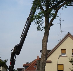 Pic00007