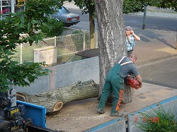 Pic00011