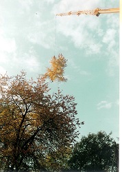 Scannen0003