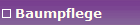 Baumpflege