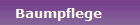 Baumpflege