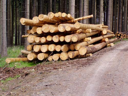 Platzhalter-Bild
